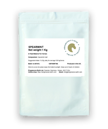 Spearmint (Mentha Spicata)